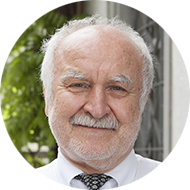 Iroc Zurich Prof Dr Theo Seiler