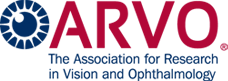 Arvo logo